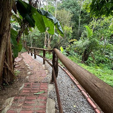 Vila Dos Passaros,Quarto 05 イタペマ エクステリア 写真