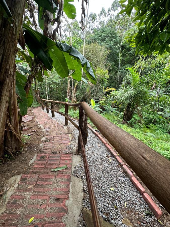 Vila Dos Passaros,Quarto 05 イタペマ エクステリア 写真