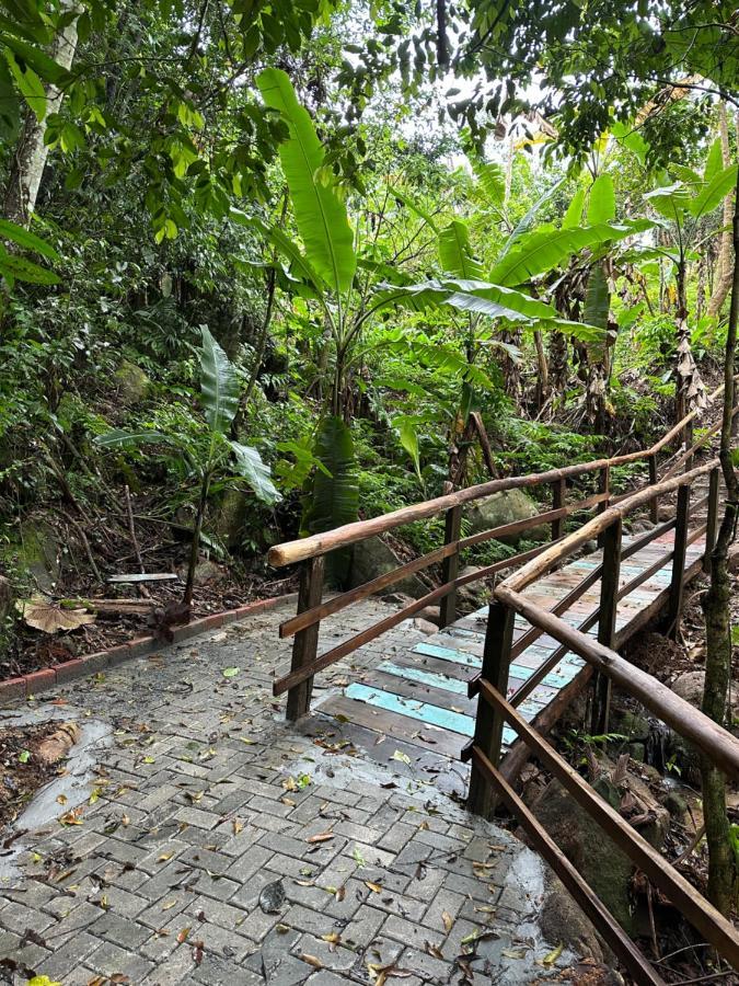 Vila Dos Passaros,Quarto 05 イタペマ エクステリア 写真